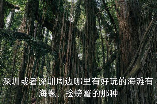 深圳或者深圳周邊哪里有好玩的海灘有海螺、撿螃蟹的那種