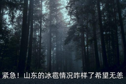 山東冰雹傷了多少人,你那下冰雹了嗎