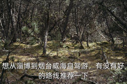 想從淄博到煙臺威海自駕游，有沒有好的路線推薦一下