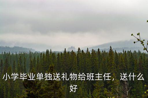 小學畢業單獨送禮物給班主任，送什么好