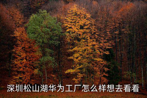 深圳松山湖華為工廠怎么樣想去看看
