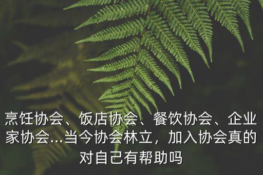 聊城女企業(yè)家協(xié)會(huì)會(huì)費(fèi)多少,企業(yè)家協(xié)會(huì)…當(dāng)今協(xié)會(huì)林立