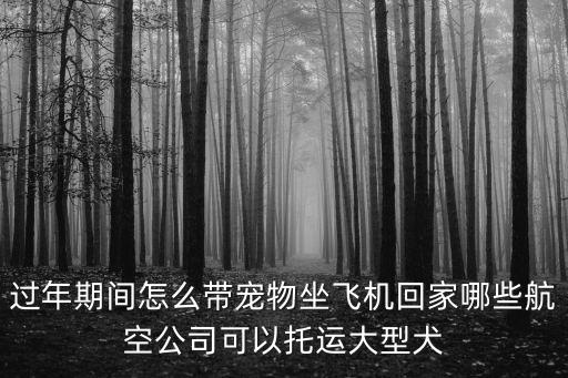 深圳寵物怎么托運(yùn)回家,哪些航空公司可以托運(yùn)大型犬