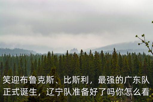 廣東隊的布魯克斯怎么了,廣東隊的馬尚布魯克斯受傷了