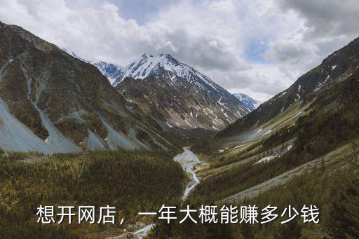 南通淘寶網(wǎng)店一年賺多少錢,一年大概能賺多少錢