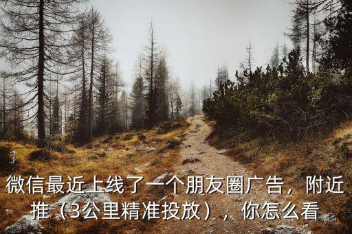 微信最近上線了一個朋友圈廣告，附近推（3公里精準投放），你怎么看