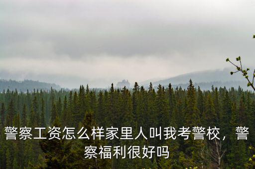 警察工資怎么樣家里人叫我考警校，警察福利很好嗎