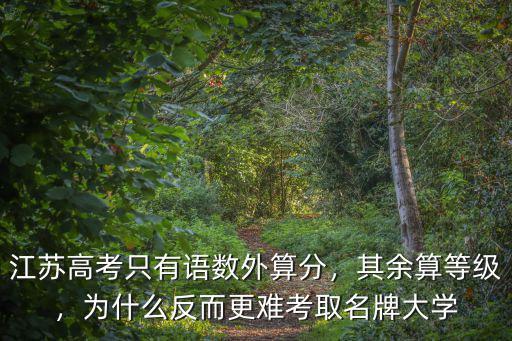 江蘇高考只有語數外算分，其余算等級，為什么反而更難考取名牌大學