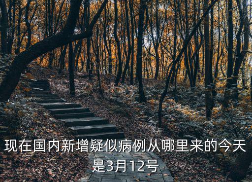 現在國內新增疑似病例從哪里來的今天是3月12號