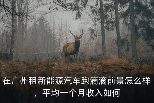 在廣州租新能源汽車跑滴滴前景怎么樣，平均一個(gè)月收入如何