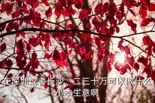 怎么在深圳做小生意,在深圳打工對深圳也不熟