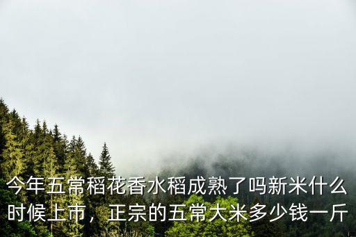 今年五常稻花香水稻成熟了嗎新米什么時候上市，正宗的五常大米多少錢一斤