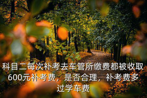 科目二每次補考去車管所繳費都被收取600元補考費，是否合理，補考費多過學(xué)車費