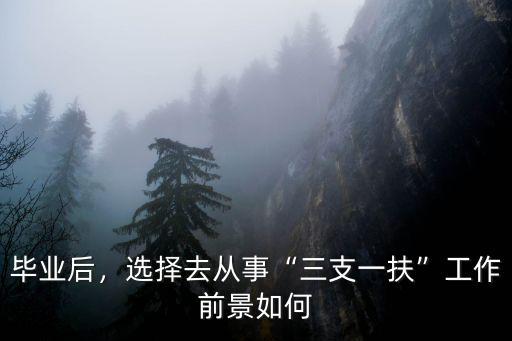 畢業后，選擇去從事“三支一扶”工作前景如何