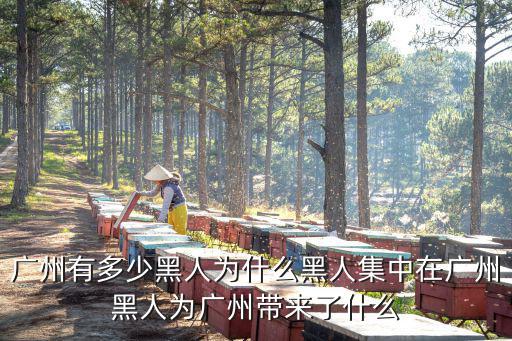 廣州有多少黑人為什么黑人集中在廣州黑人為廣州帶來了什么