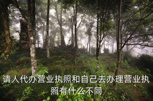 深圳機構營業執照代辦怎么辦理,電商營業執照怎么辦理