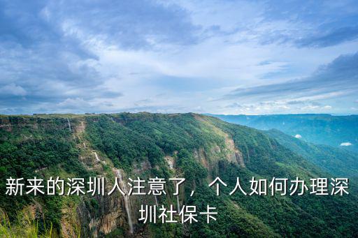 深圳社保卡是怎么辦理,個人如何辦理深圳社保卡