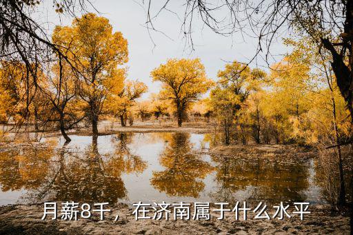 濟南薪資水平多少,在濟南月薪一萬二是什么水平