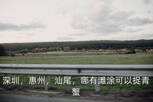惠州哪里可以免費抓螃蟹,惠州哪里可以趕海撿海鮮