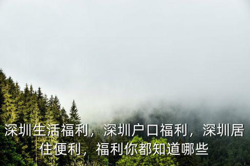 深圳居住不好怎么辦,深圳居住不易