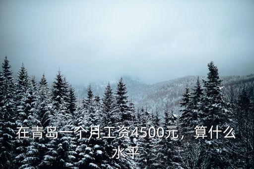 在青島一個月工資4500元，算什么水平