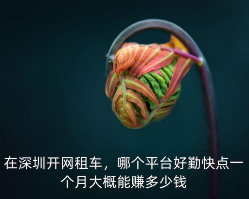 在深圳開網(wǎng)租車，哪個平臺好勤快點一個月大概能賺多少錢