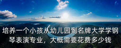 培養一個小孩從幼兒園到名牌大學學鋼琴表演專業，大概需要花費多少錢