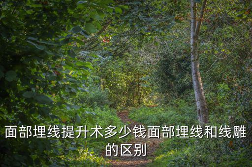 蘇州面部提升術(shù)多少錢,面部埋線提升術(shù)多少錢