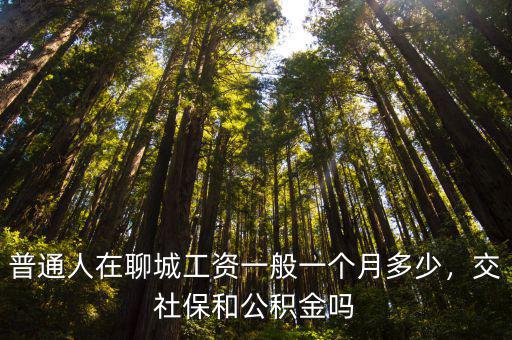 普通人在聊城工資一般一個月多少，交社保和公積金嗎