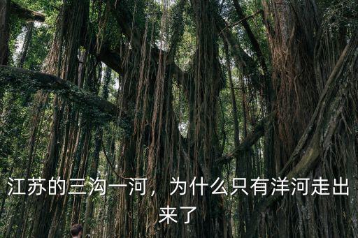 天臺一江蘇洋河鎮多少公里,江蘇的三溝一河
