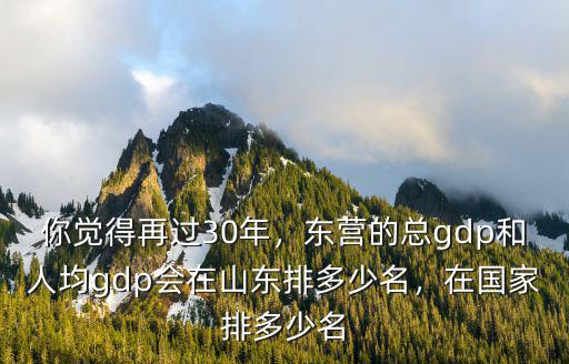 東營經濟在全省多少名次,在國家排多少名