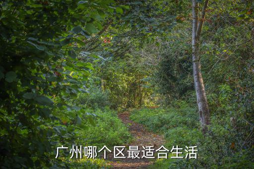 廣州哪個區最適合生活