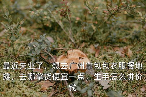 擺地攤幾件衣服廣州哪里拿貨便宜,想去廣州拿包包衣服擺地攤