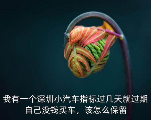 我有一個深圳小汽車指標過幾天就過期自己沒錢買車，該怎么保留