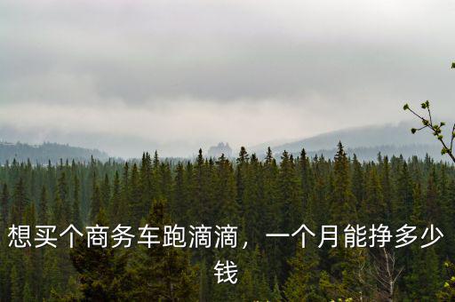 想買個(gè)商務(wù)車跑滴滴，一個(gè)月能掙多少錢