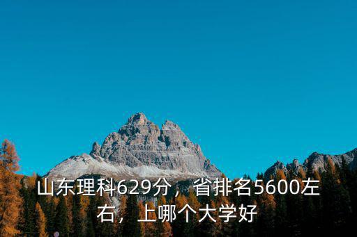 山東理科629分，省排名5600左右，上哪個大學好