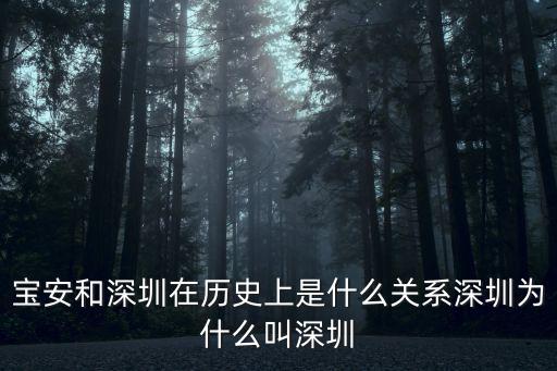 深圳歷史簡介英語怎么說,深圳為什么叫深圳