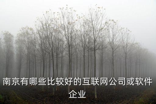 南京有哪些比較好的互聯網公司或軟件企業