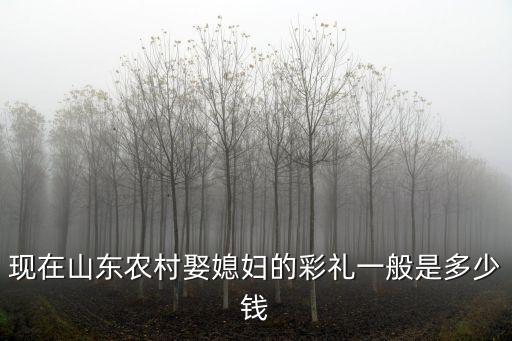 山東鄆城彩禮錢一般給多少,山東鄆城彩禮太高了