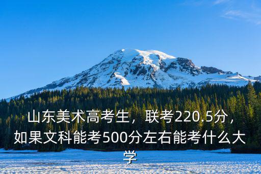 山東美術(shù)高考生，聯(lián)考220.5分，如果文科能考500分左右能考什么大學(xué)