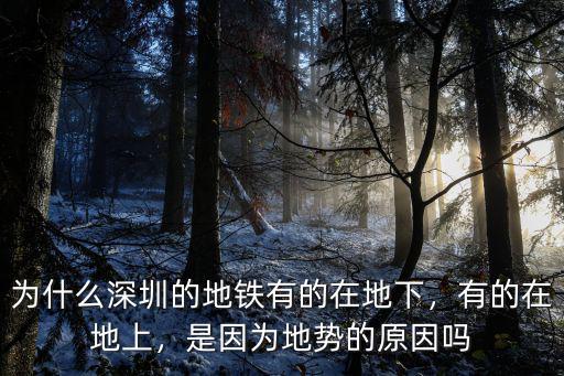 深圳地鐵站修的怎么樣,如何看待深圳的地鐵