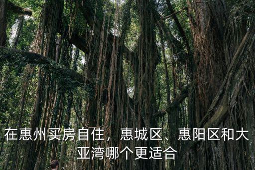 惠州惠陽區(qū)位置怎么樣,惠州惠陽哪里好玩