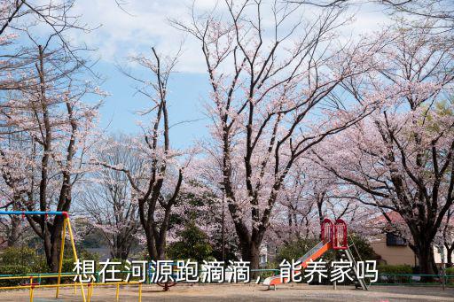想在河源跑滴滴，能養家嗎