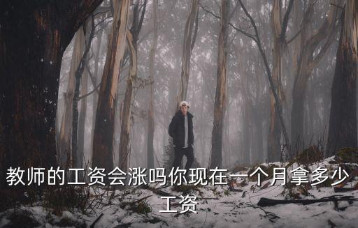山東工藝美院講師工資多少一月,你現在一個月拿多少工資