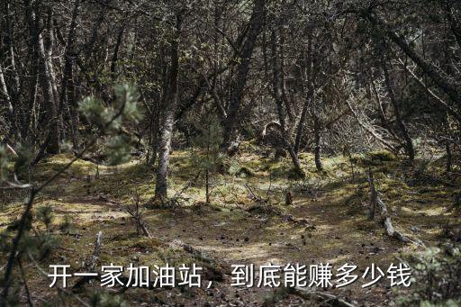 山東承包加油站多少錢(qián),開(kāi)一家加油站
