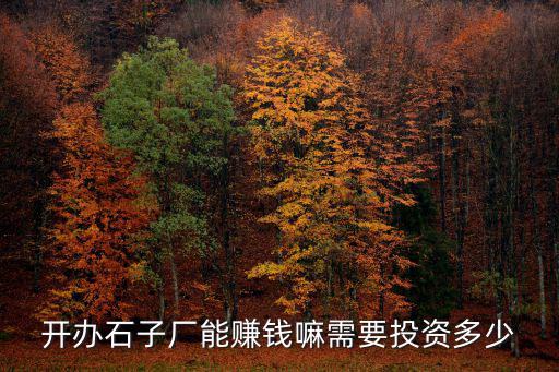 深圳碎石場投資多少,開辦砂石廠大概投資多少