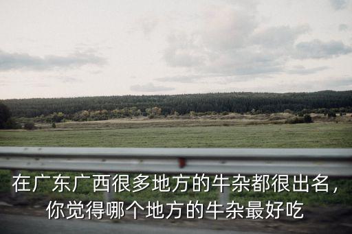 在廣東廣西很多地方的牛雜都很出名，你覺得哪個地方的牛雜最好吃