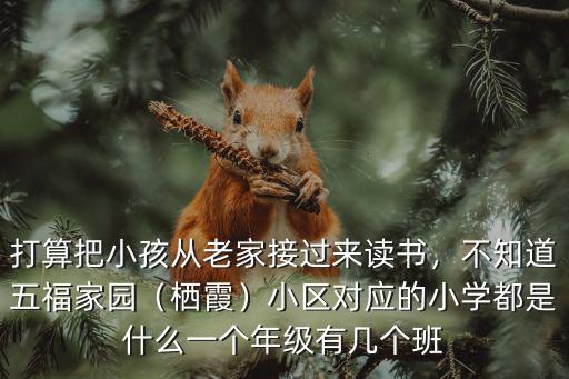 江蘇的小學有多少個班,一個年級有幾個班