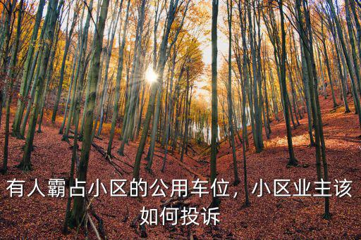 有人霸占小區的公用車位，小區業主該如何投訴
