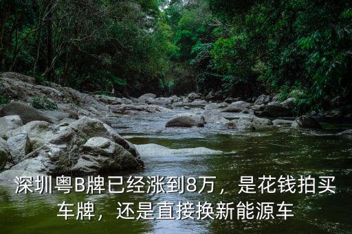 深圳下線車多少錢一輛,在深圳養一輛車
